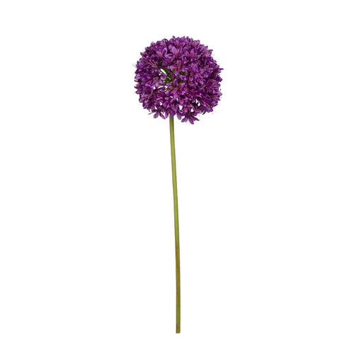 Allium Spray - Görsel 1