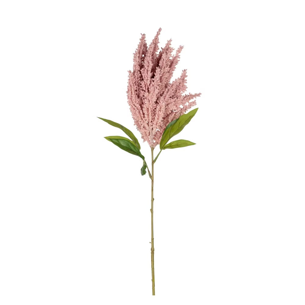 Astilbe - Görsel 1