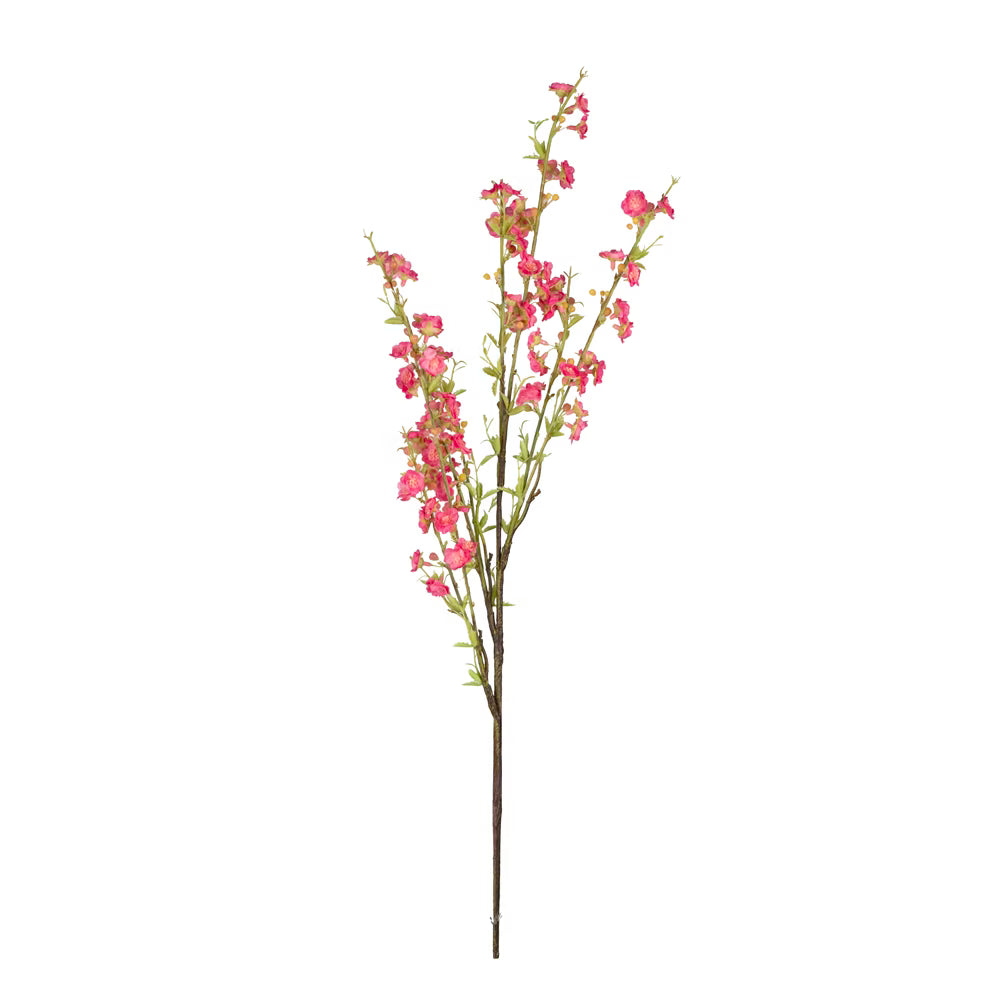 Pembe Bahar Dalı - Görsel 1