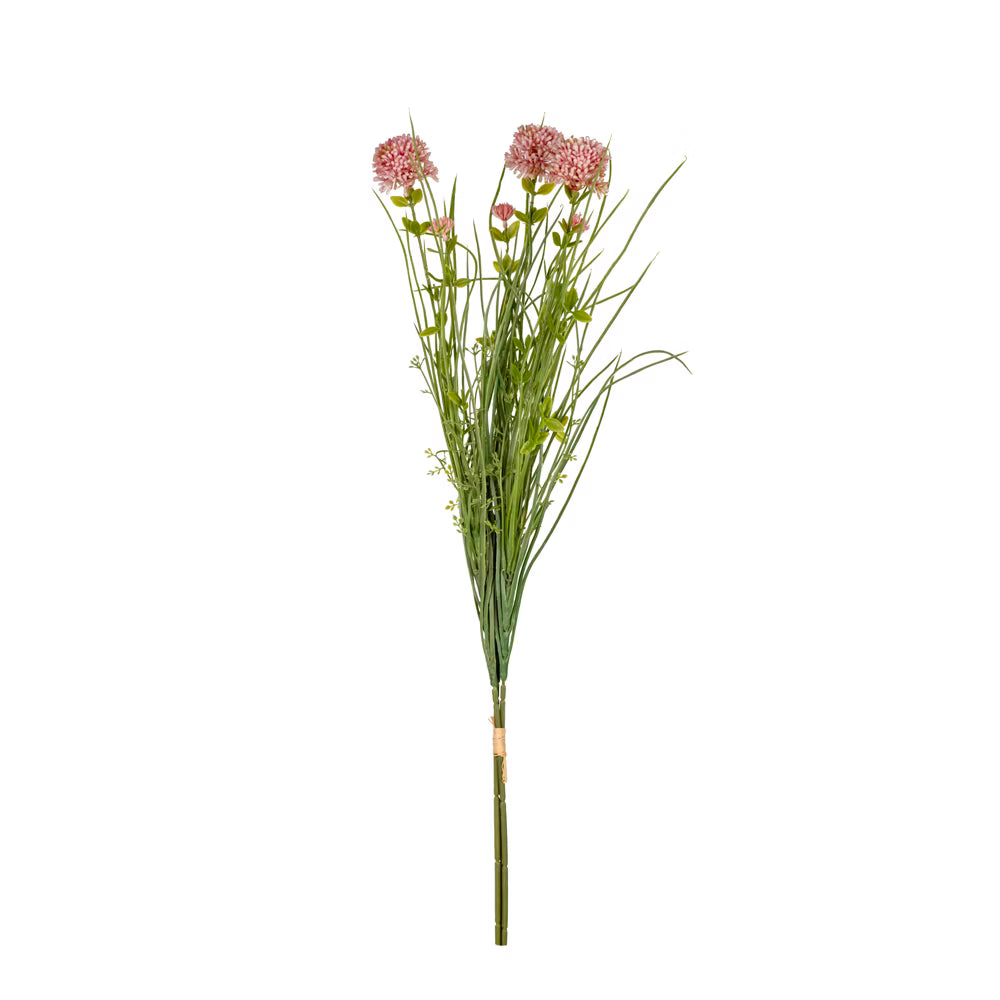 Pembe Soğan Çiçeği - Görsel 1