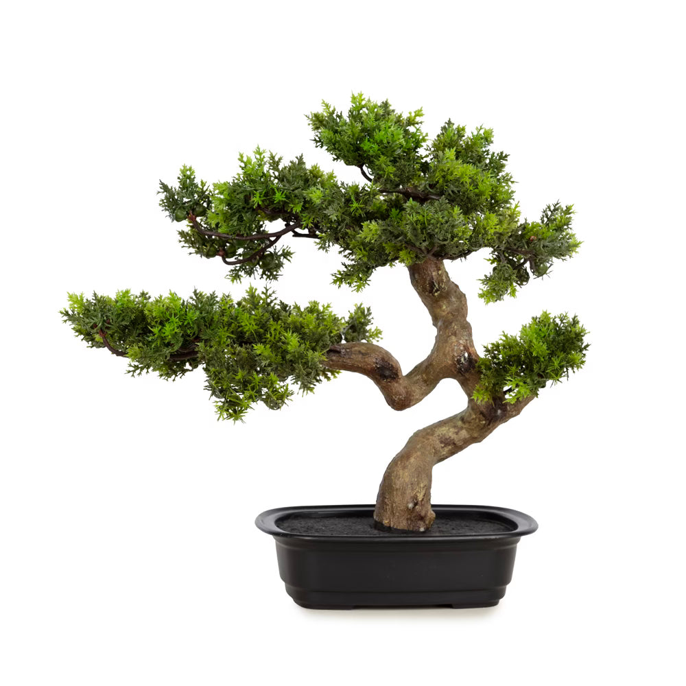 Juniper Bonsai 39 CM - Görsel 1