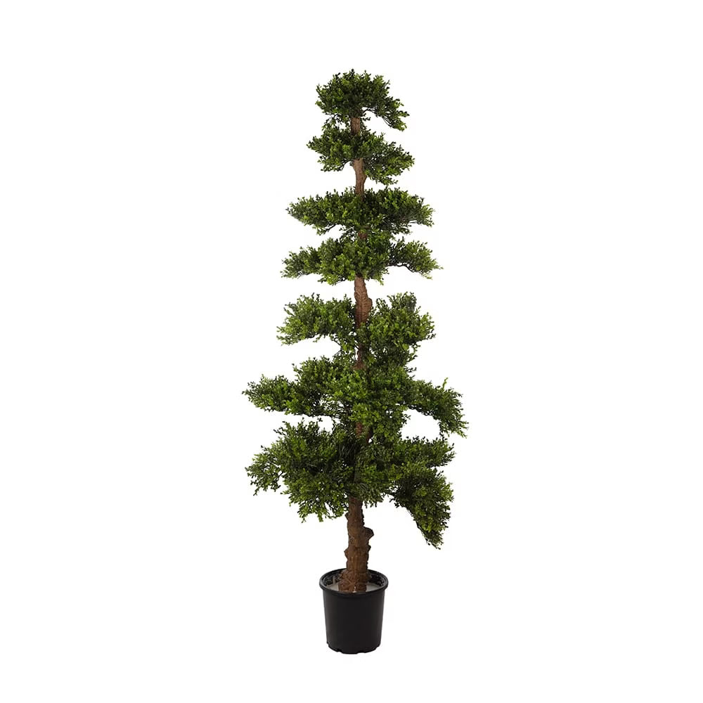 Podocarpus Ağaç 178 cm - Görsel 1