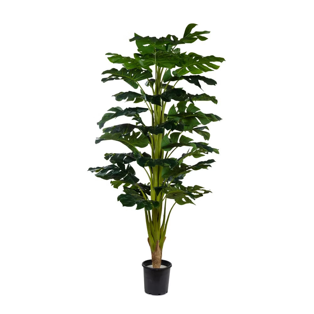 Yapay Monstera Ağaç 180 CM - Görsel 1