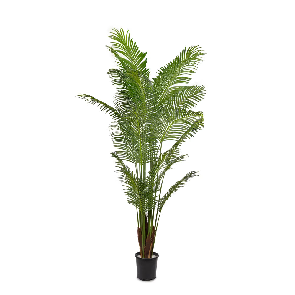 Yapay Palmiye Ağac 210 CM - Görsel 1