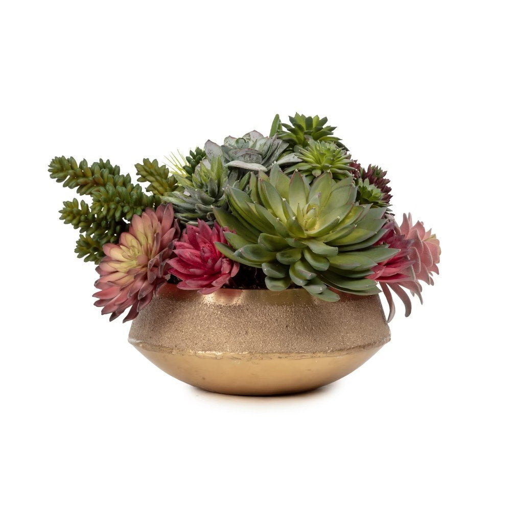 Sukkulenten-Arrangement in Metallschale (20 cm)