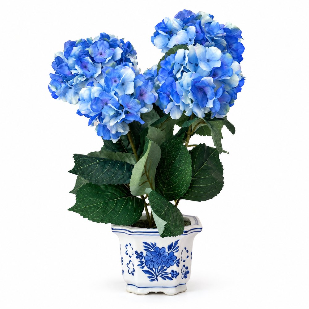 Blue Blanc Saksılı Mavi Ortanca Çiçeği