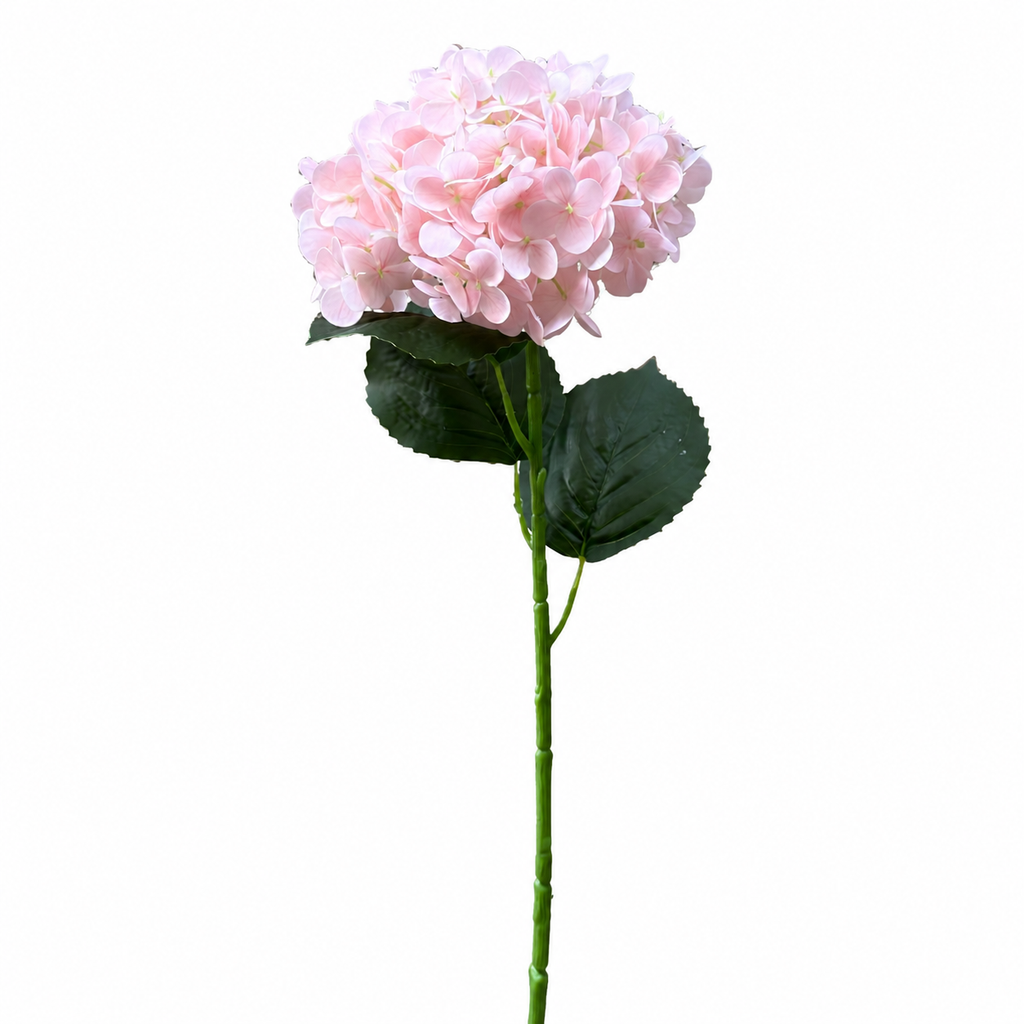 Islak Dokulu Toz Pembe Ortanca Dal