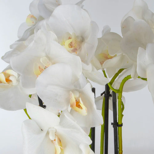 Beyaz Orkide Aranjmanı –  Ayaklı Metal Saksıda
