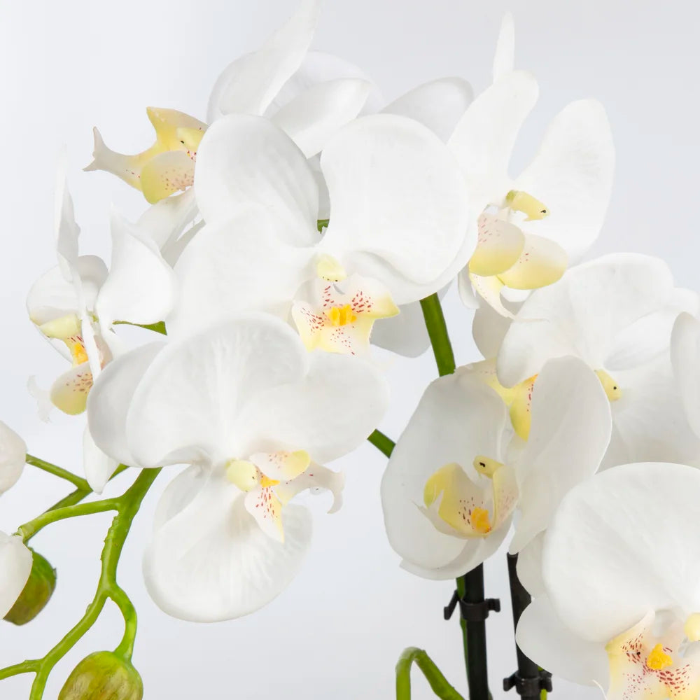 Beyaz Orkide Aranjmanı – Metal Saksıda