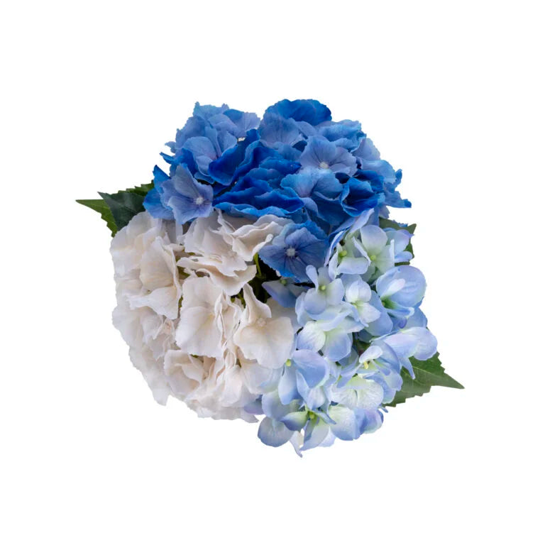 Mavi & Krem Ortanca Aranjmanı – Bleu Blanc Vazoda