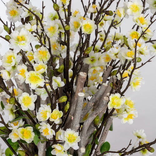 Bahar Dalı Aranjman - Cam Vazoda