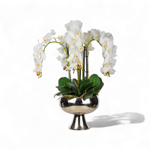 Beyaz Orkide Aranjmanı –  Ayaklı Metal Saksıda