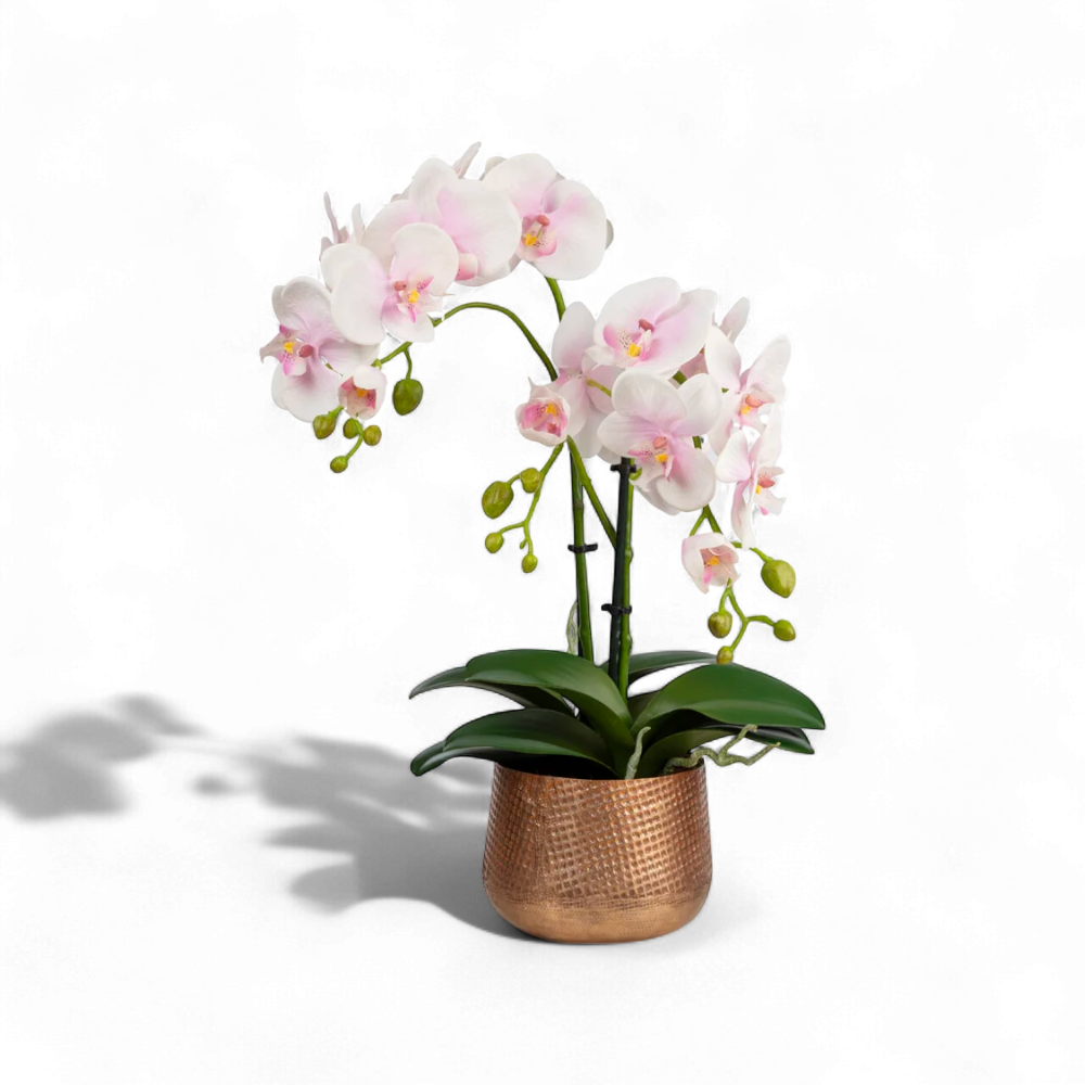 Pembe Orkide Aranjmanı – Bakır Renkli Metal Saksıda