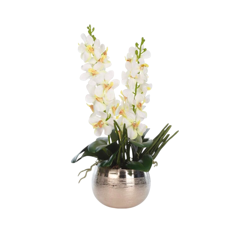 Beyaz Orkide Aranjmanı – Metal Saksıda