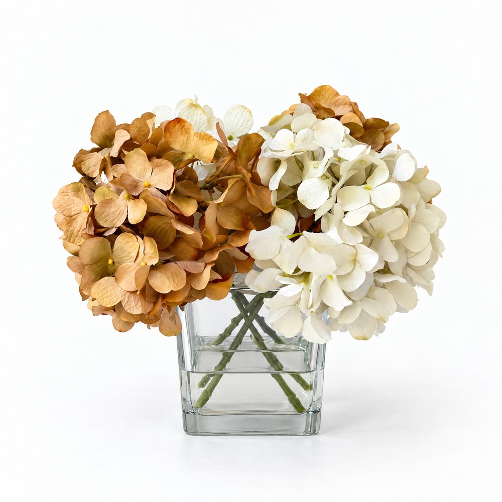 Cam Vazolu Bej Krem Ortanca Çiçek