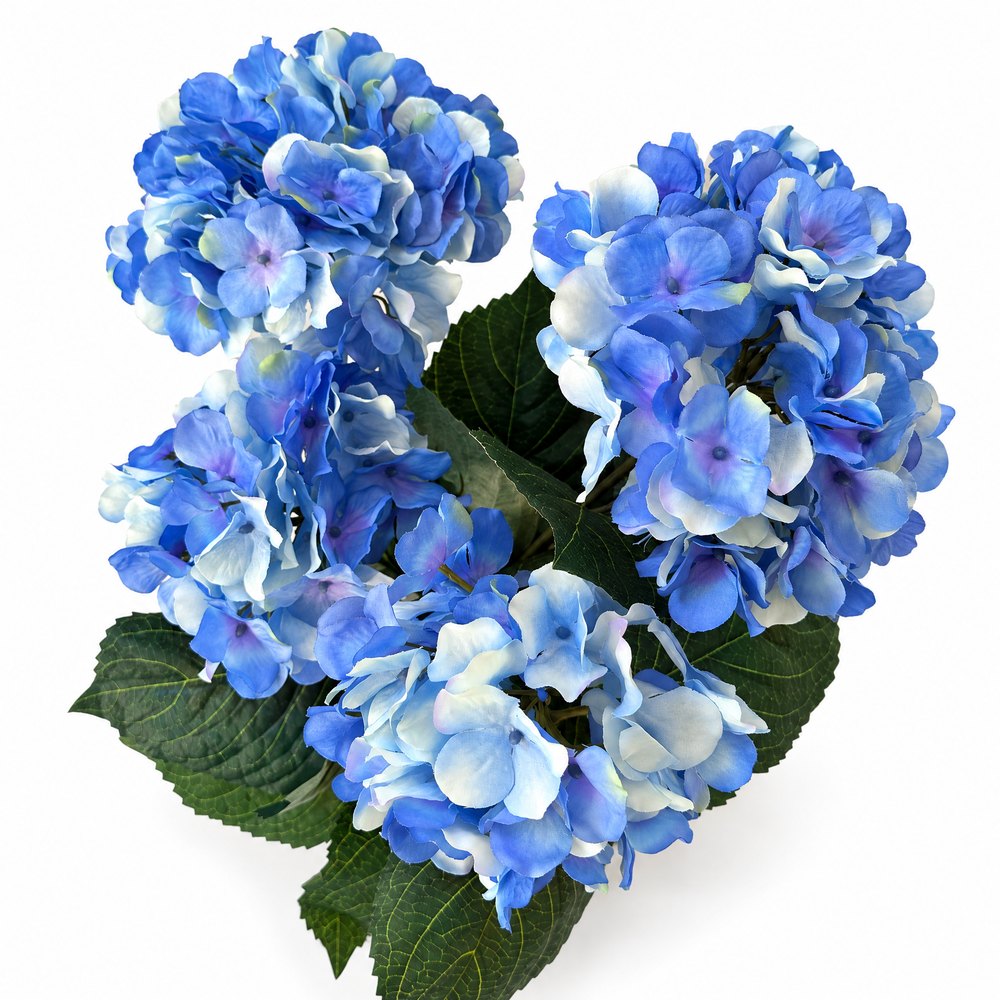 Blue Blanc Saksılı Mavi Ortanca Çiçeği