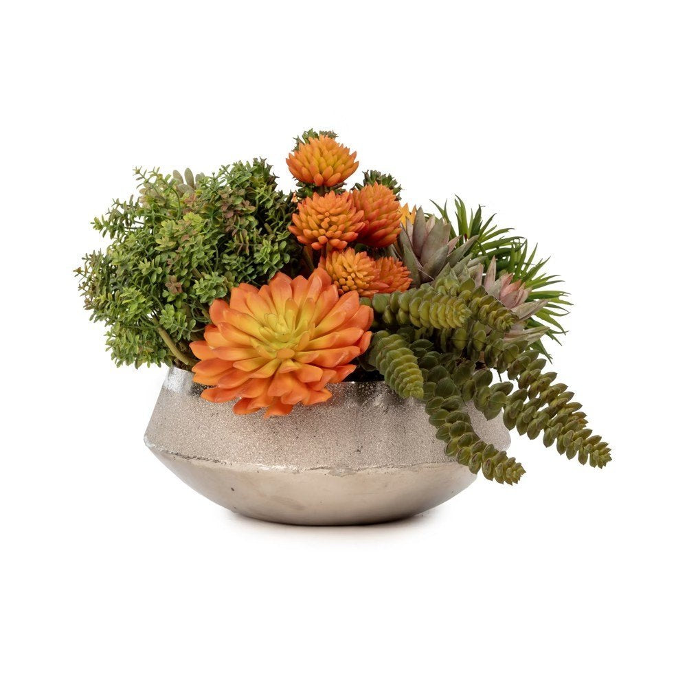 Metal Bowl Succulent Arrangement (20 Cm)