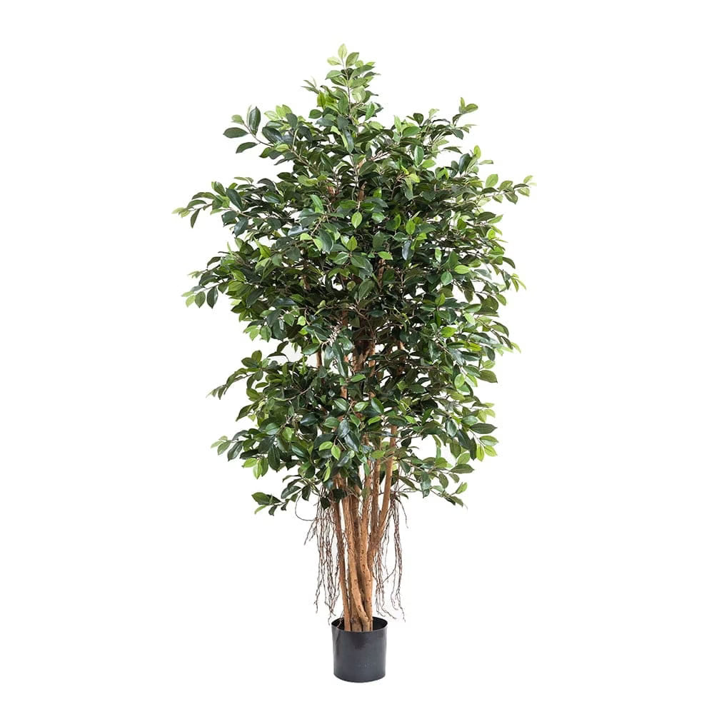 Yapay Retusa Ficus Ağacı 180 cm - Görsel 1
